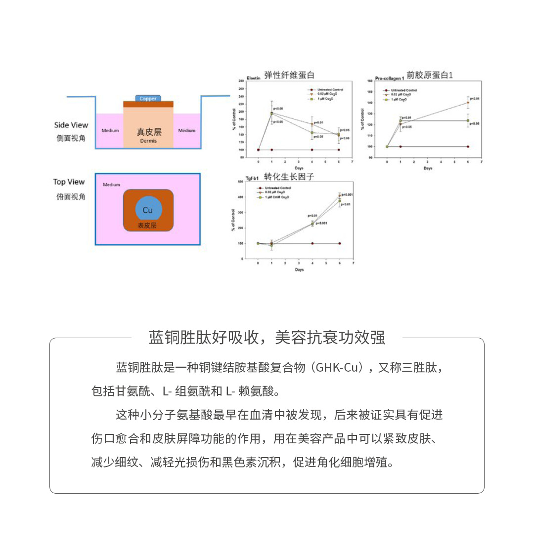 铜，人体必需健康卫士4.jpg